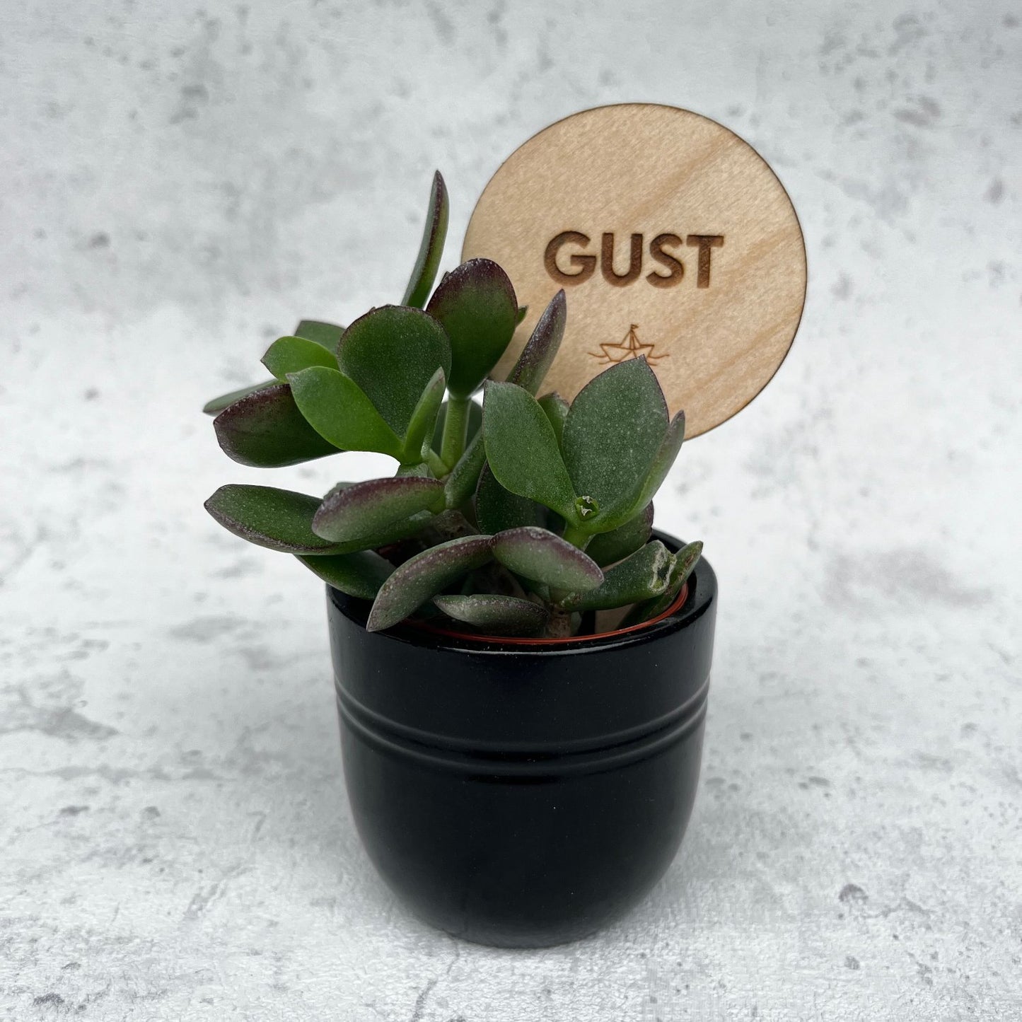 Plantenprikkers 10st